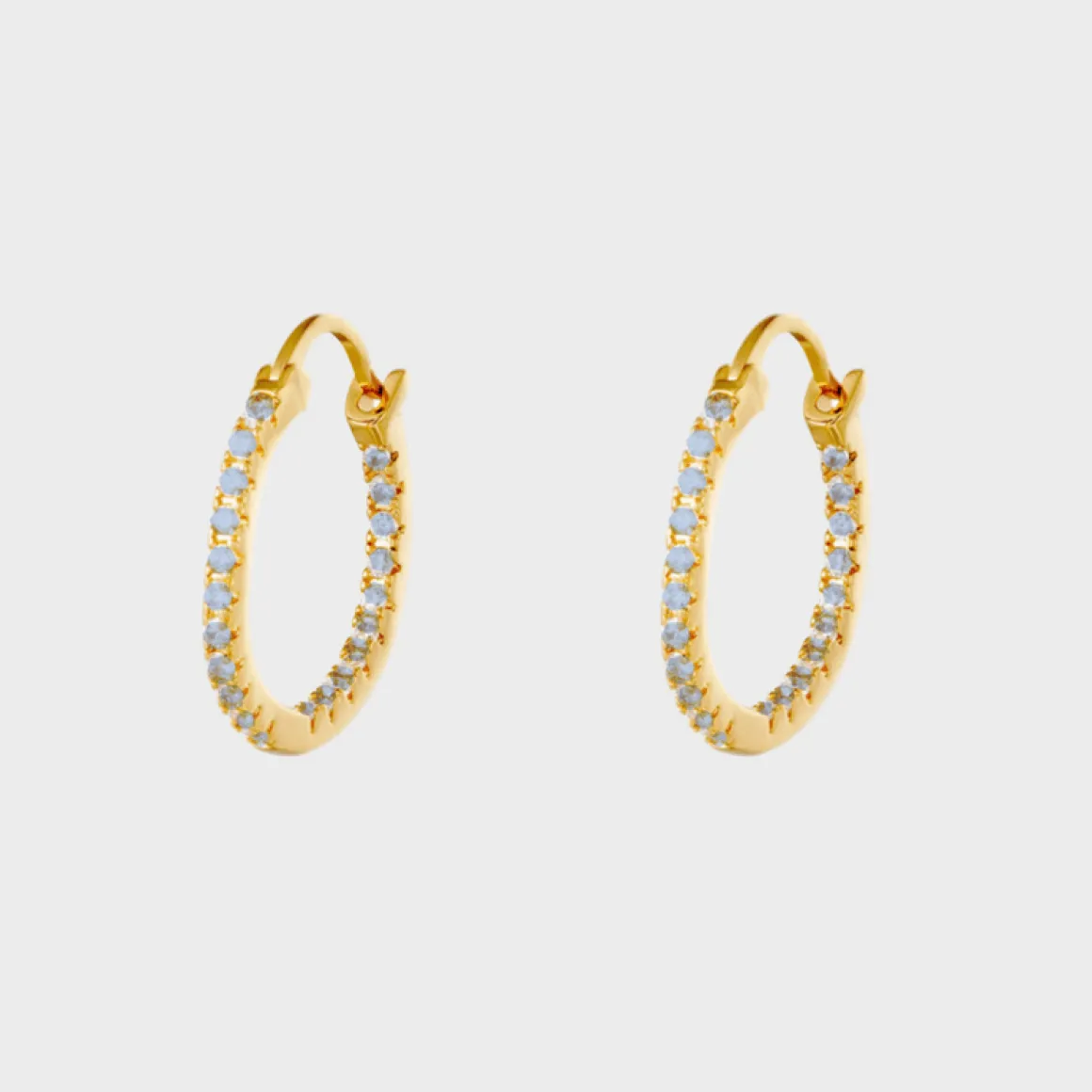 Shiny Hoops